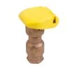 Rain Bird Brass QCVs 2 Rain Bird Brass QCVs