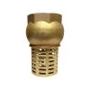 Advanced Industrial Products Brass Foot Valves