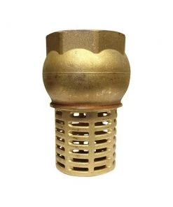 Advanced Industrial Products Brass Foot Valves