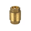 Austworld Commodities Brass Spring Check Valve Non-Return Valves (One Way)