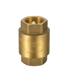 Austworld Commodities Brass Spring Check Valve Non-Return Valves (One Way)