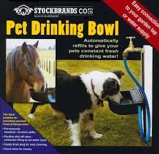 Stockbrands Pet Drinking Bowl