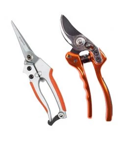 Cut Above Tools Cut Above Secateurs & Shears Garden Tools