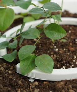 Netafim Netbow Pot Irrigator Drippers