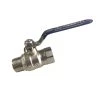 AAP Industries Nickel Coated Brass M X F Ball Valves