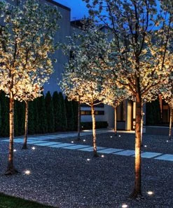 Garden & Deck Lighting Playlite Deck Lights